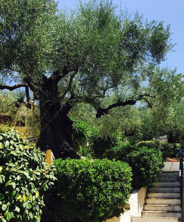 Hotel Lofos Strani